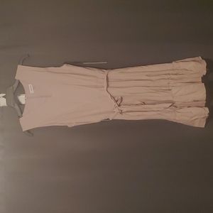 Soft Pink Calvin Kelin Dress